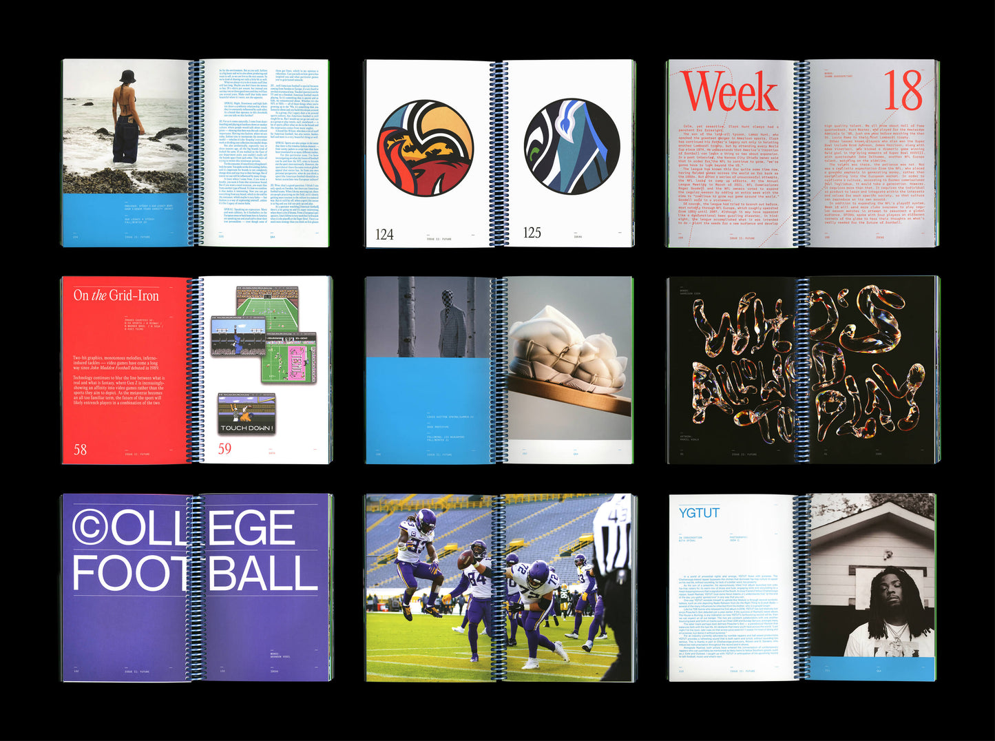 SPIRAL Issue II – Future