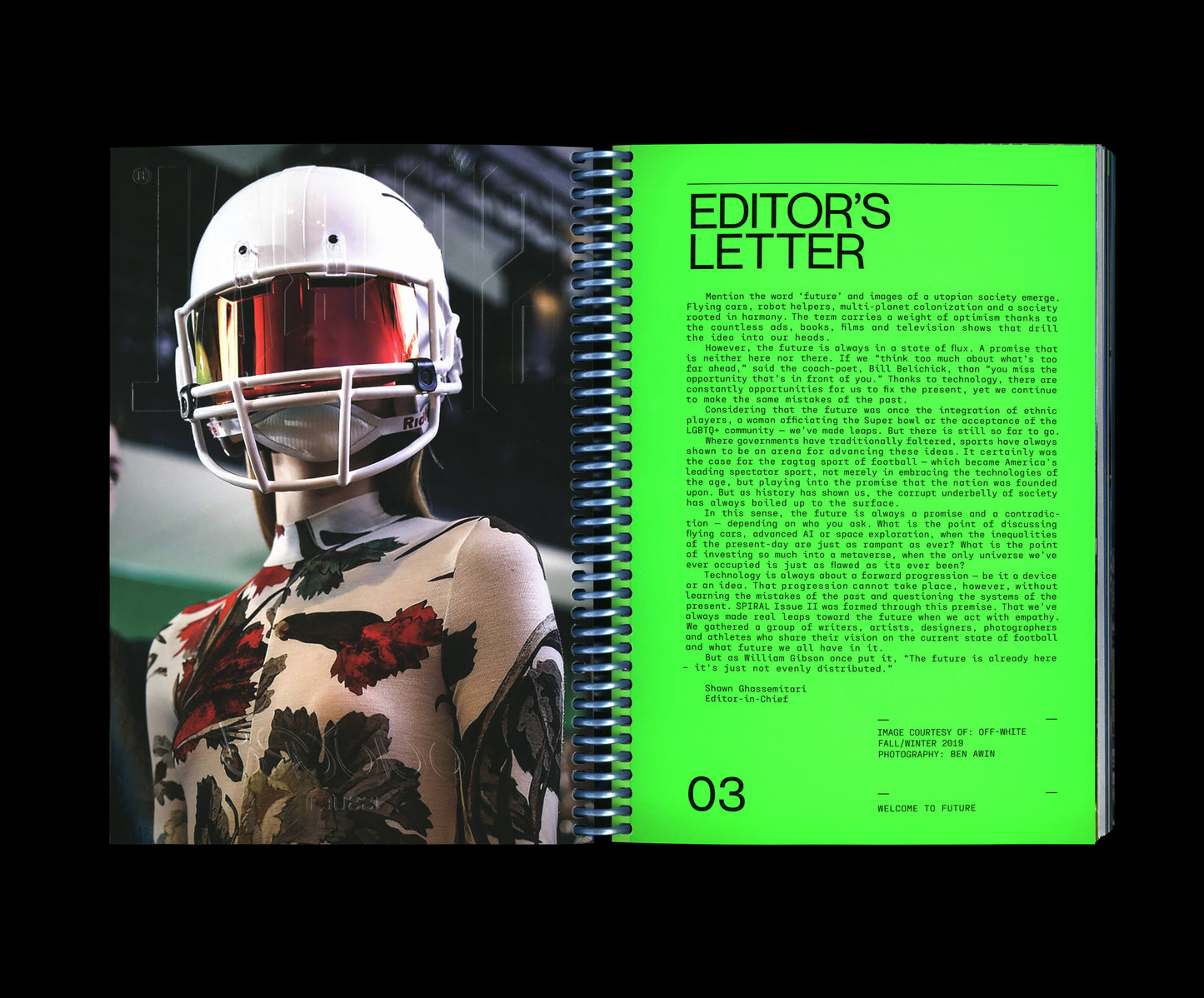 SPIRAL Issue II – Future