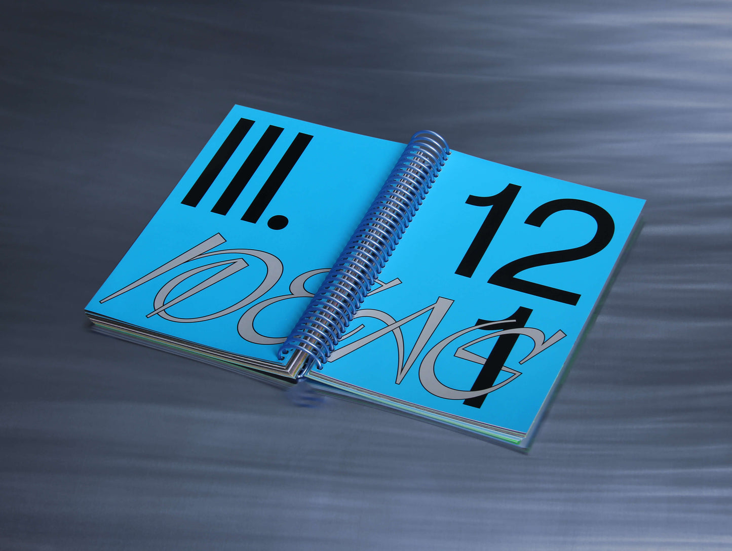 SPIRAL Issue II – Future